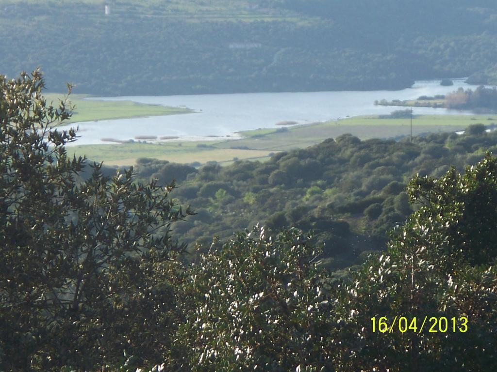 סנטה מריה Agriturismo B&B Casteldoria מראה חיצוני תמונה